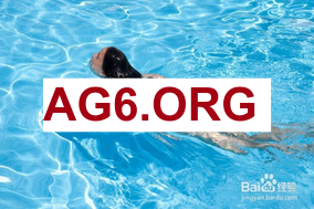 Shams：公牛将科比·怀特&康利送去黄蜂 换塞克斯顿、吉昂和3次轮